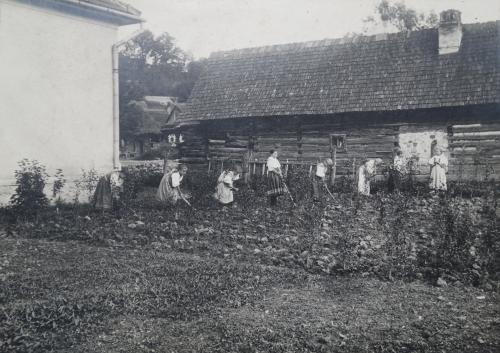 Jedna z&nbsp;najstarších fotografií z&nbsp;archívu učiteľa Ľ. Greguša (okolo roku 1920)- "Okopávanie štepov" pri starej drevenej škole vo Svinnej