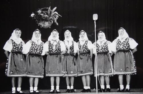Zakladajúce členky skupiny. Zľava:F. Kasáková,A. Kasáková, Ž. Gažúrová, E. Barčiaková, Ľ. Štefaníková,J. Doricová, A. Melišíková (sedemdesiate roky)